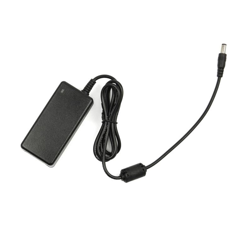 class2电源适配器/12V1A/24V0.5A